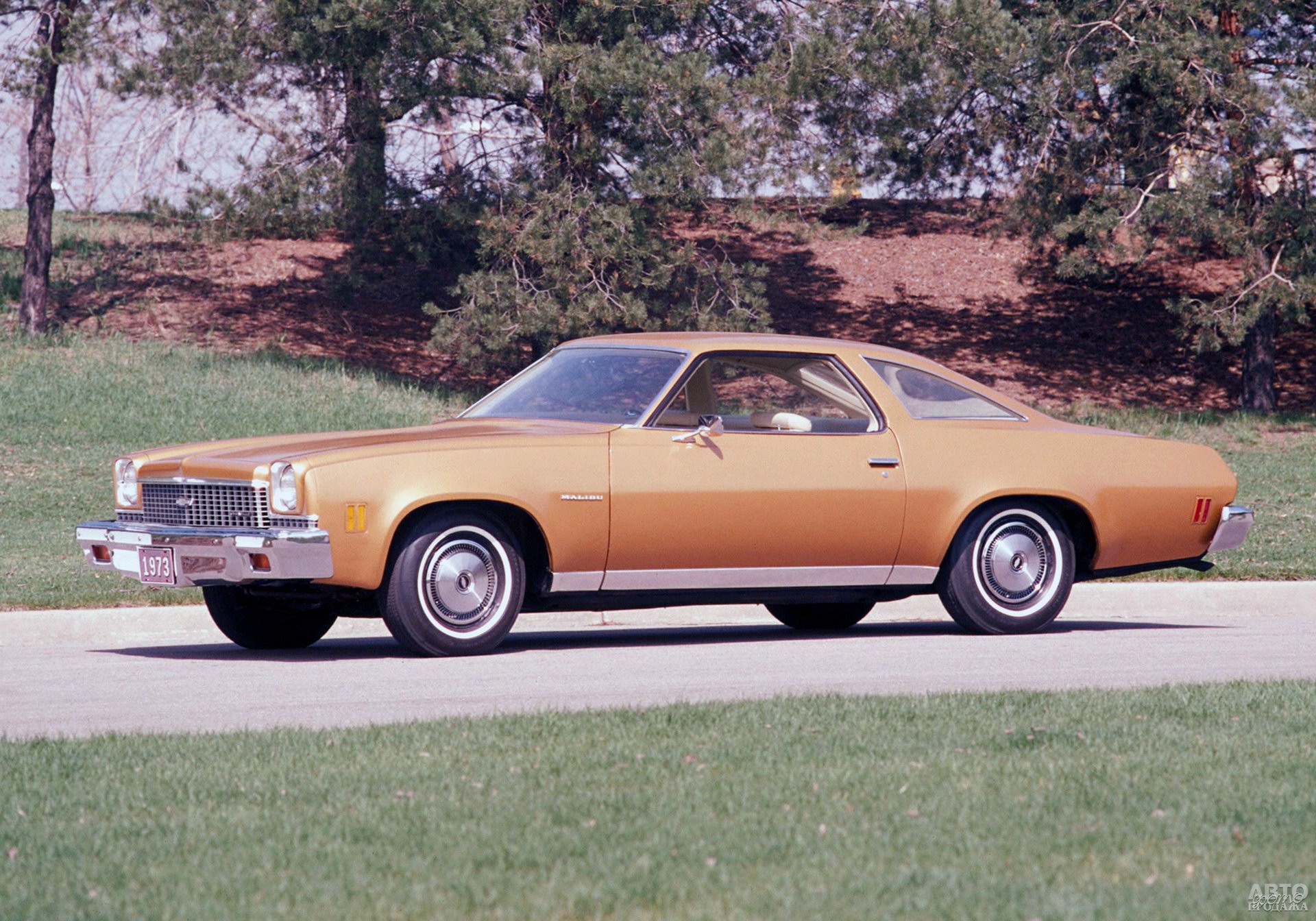 Chevrolet Chevelle Malibu, 1973 год