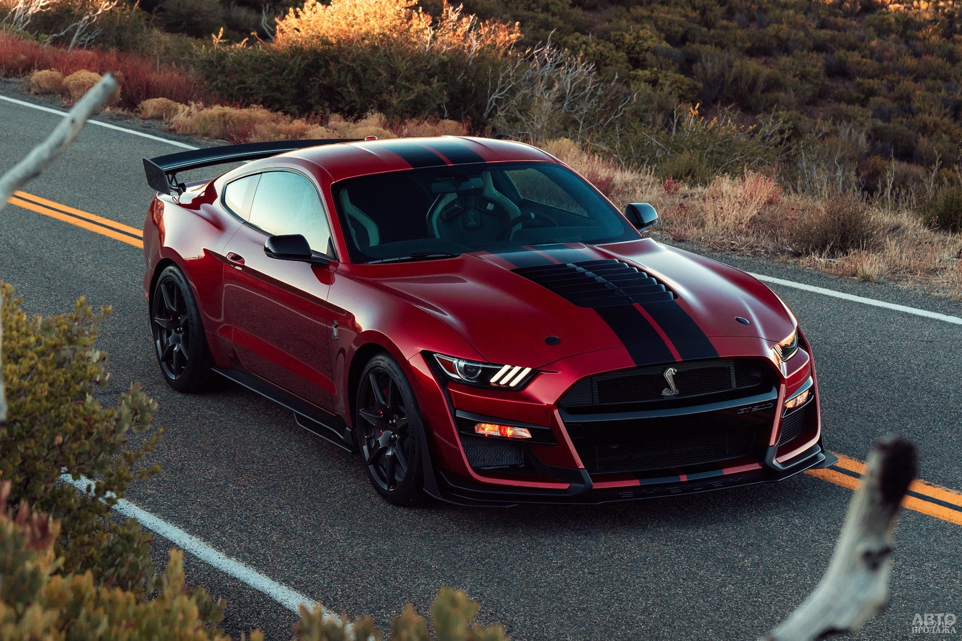 Shelby GT500 2019 года