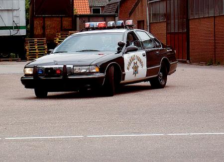 Полицейские автомобили: на страже законности и порядка (Часть 1)