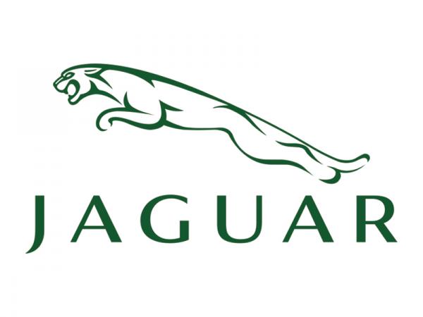 В Jaguar огласили планы на будущее