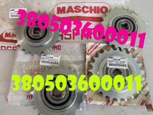 Запчастини для техніки Gaspardo — у продажу 2025 г.в