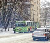 Электротранспорт в Украине используется очень давно, но вот легковые электромобили в нашей стране пока редкость