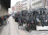 Самое удобное средство передвижения по городу – "народное" транспортное средство – велосипед