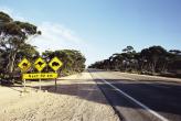 Такие знаки не редкость в австралийских пустынях