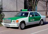 А вот, к примеру, в Германии характерной чертой внешности полицейских автомобилей является традиционная покраска в зеленый цвет