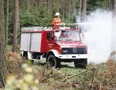 Хотя по многим параметрам "лесные" пожарные уступают своим "полноразмерным" "собратьям", однако как раз благодаря своим габаритам и вседорожным качествам такие автомобили могут оперативно прибыть на место возгорания и потушить огонь