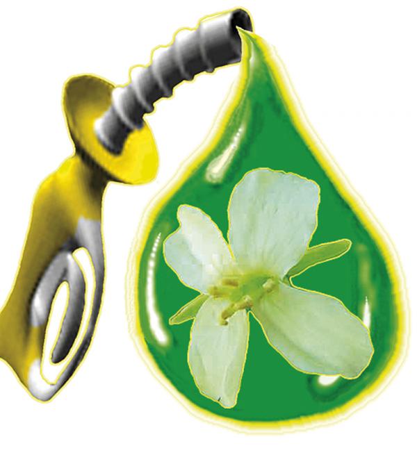 Биодизель в домашних условиях